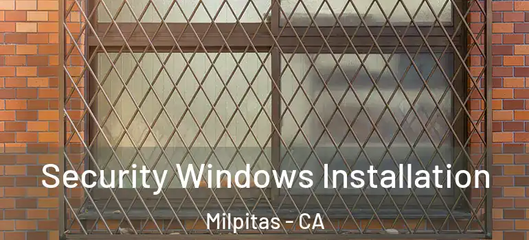 Security Windows Installation Milpitas - CA